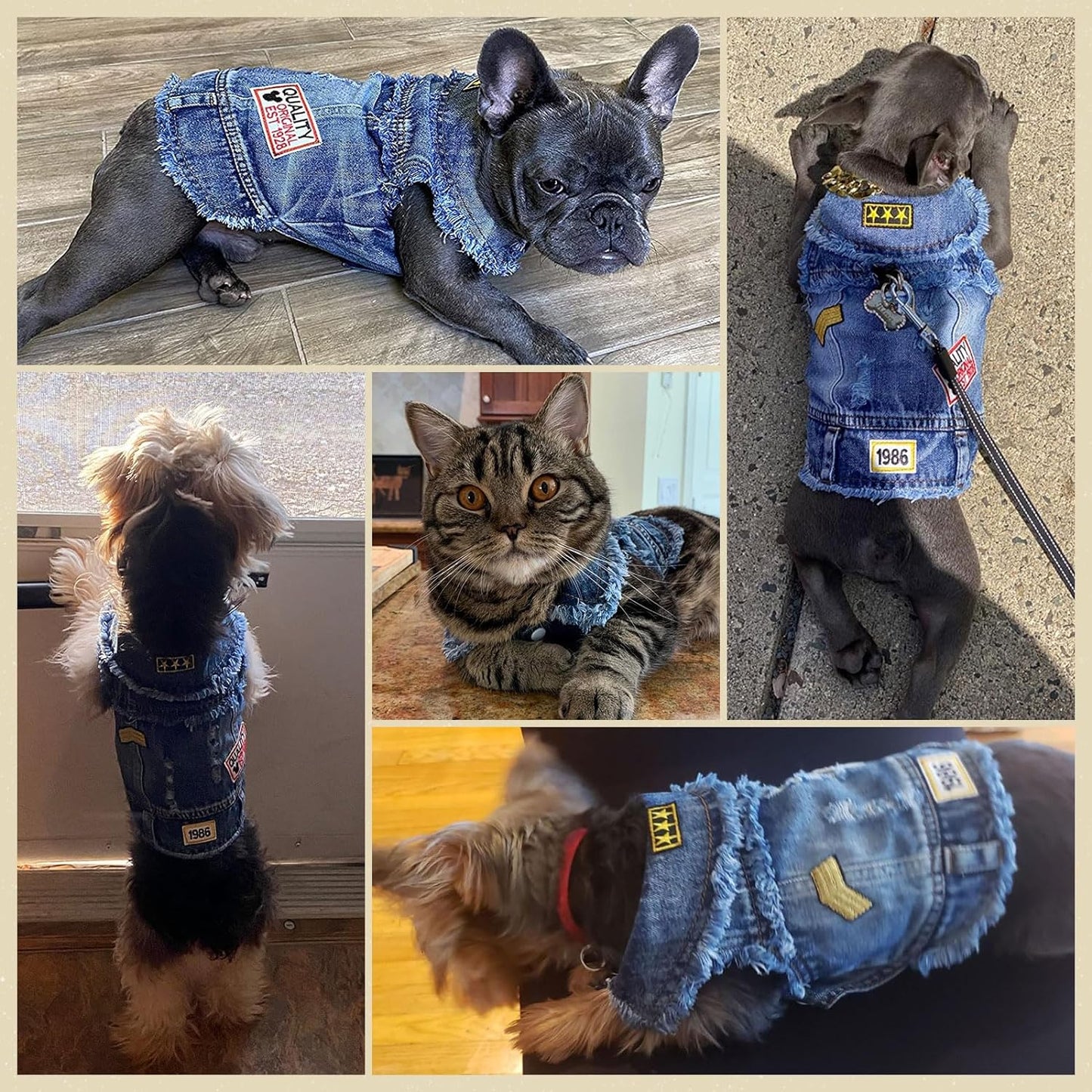 Pet Vests Dog Denim Jacket Hoodies Puppy Jacket for Small Medium Dogs (XS, Blue Print)